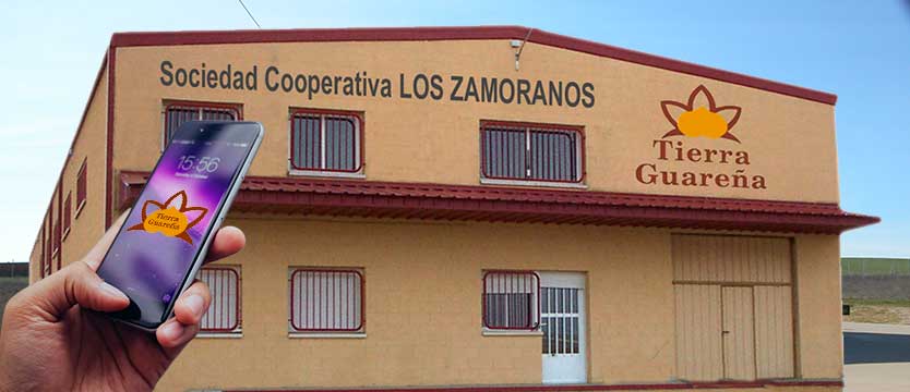 Contactar con GARBANZOS Y ESPARRAGOS|Garbanzo de Fuentesaúco|S.C. LOS ZAMORANOS|FUENTESAUCO, ZAMORA